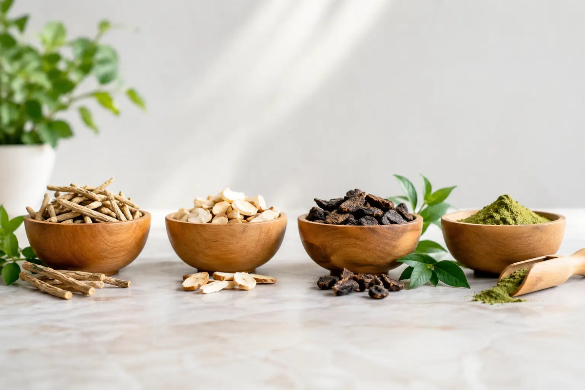 Adaptogen Comparison: Find Your Daily Support